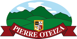 Cette image représente le logo de l\entreprise Pierre Oteiza